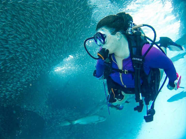 woman doing scuba diving near school of fish