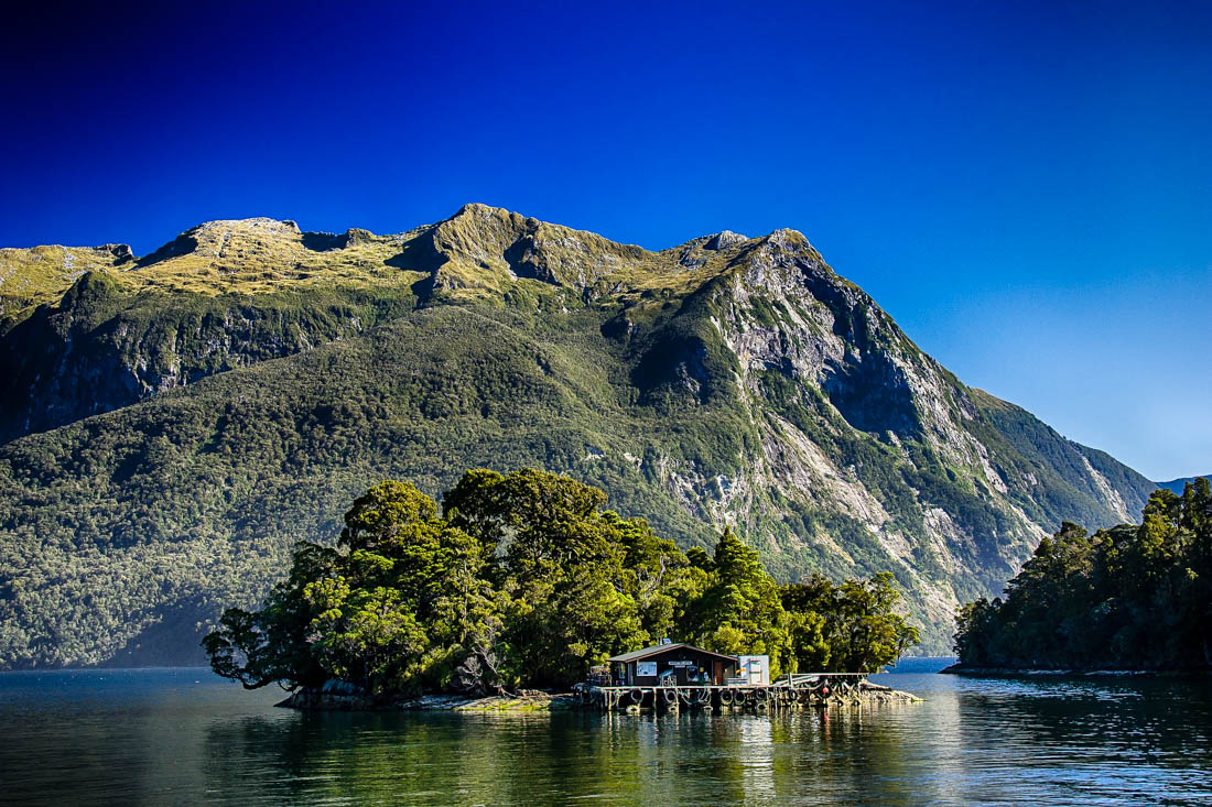 Doubtful Sound, Fiordland National Park, New Zealand